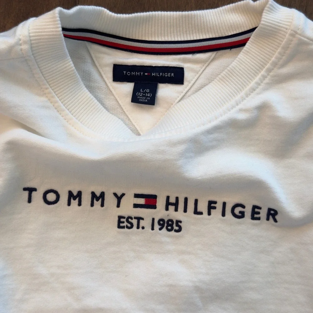 Lot of 8 Boys L Clothes Lot Tommy‎ Hilfiger Jordan Champion Levis Adidas IZOD
